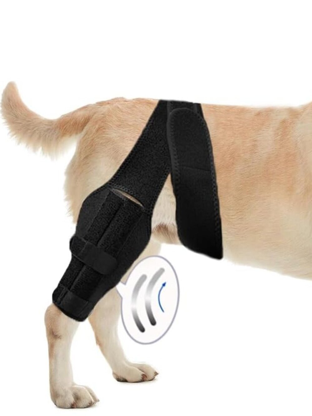 M Dog Leg Braces for Back Leg for Support